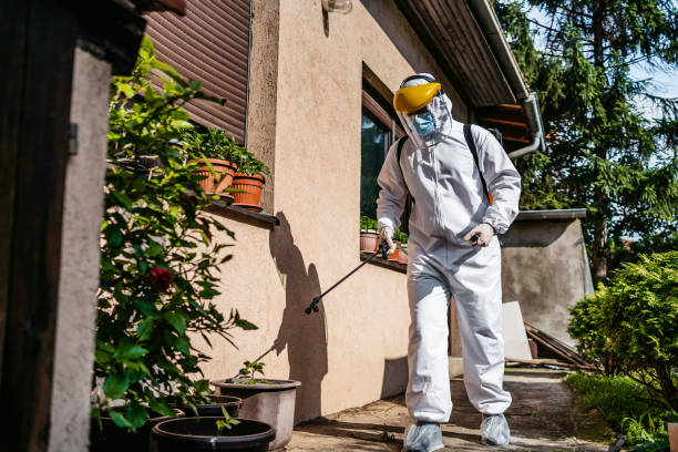 Best Mosquito Control Services  in Guyton, GA