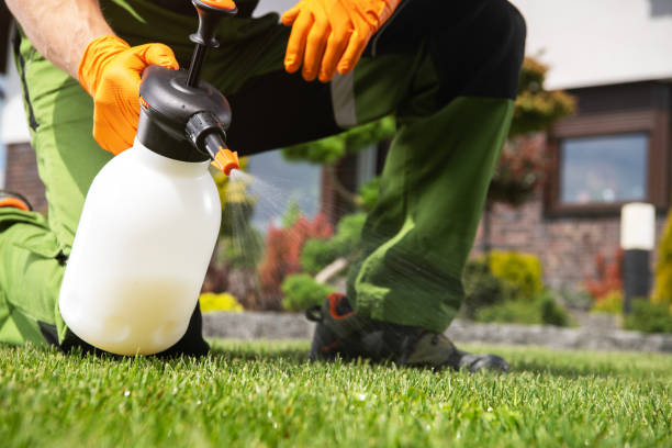 Best Termite Control Services  in Guyton, GA