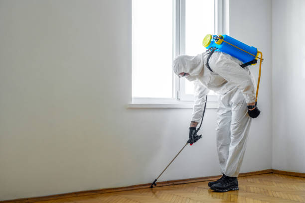 Best Residential Pest Control  in Guyton, GA