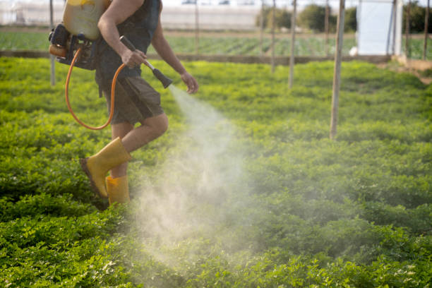 Best Pest Prevention Services  in Guyton, GA