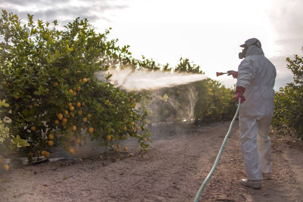 Best Affordable Pest Control Services  in Guyton, GA