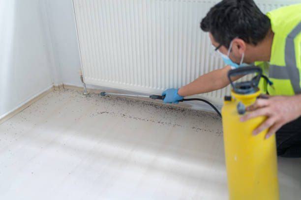 Best Flea Control Services  in Guyton, GA