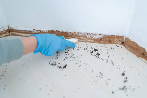Professional Pest Control in Guyton, GA