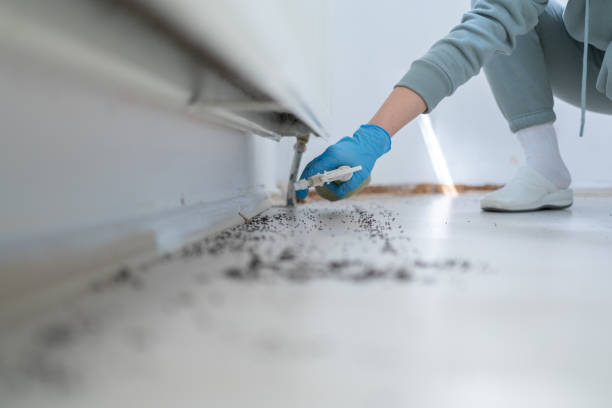 Best Insect Control  in Guyton, GA