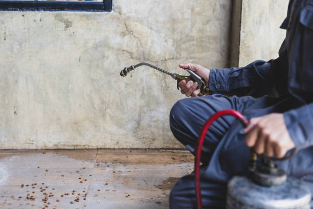 Wasp Removal Services in Guyton, GA